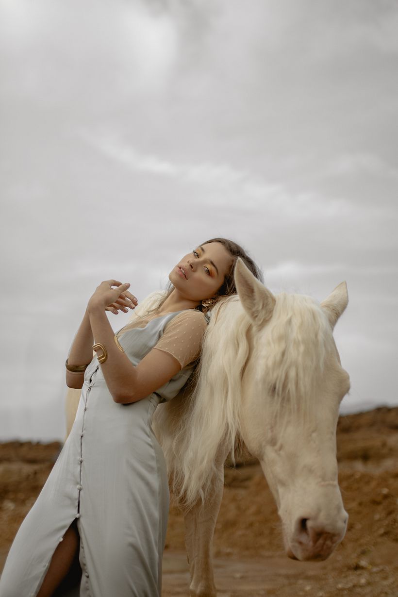 Proyecto: Goodbye Horses 17