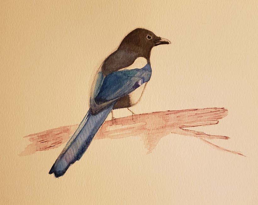 Maggie Magpie
