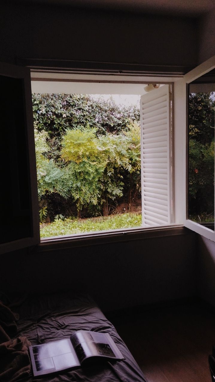 Concurso de Fotografia: Novo de Novo 1