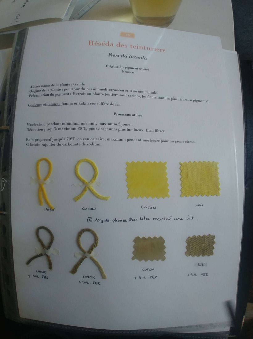Ficha de bitácora