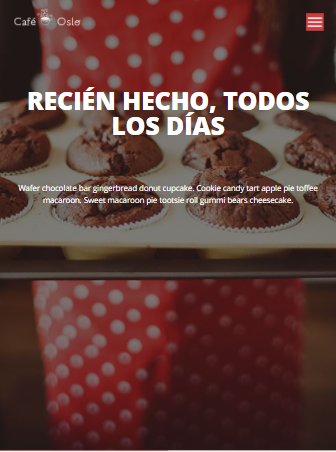 Mi Proyecto del curso: Introducción al Desarrollo Web Responsive con HTML y CSS 2