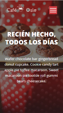 Mi Proyecto del curso: Introducción al Desarrollo Web Responsive con HTML y CSS 4