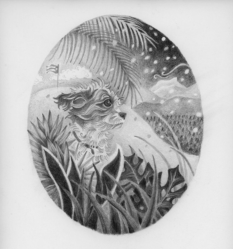 Rita Goes to Vermont 0