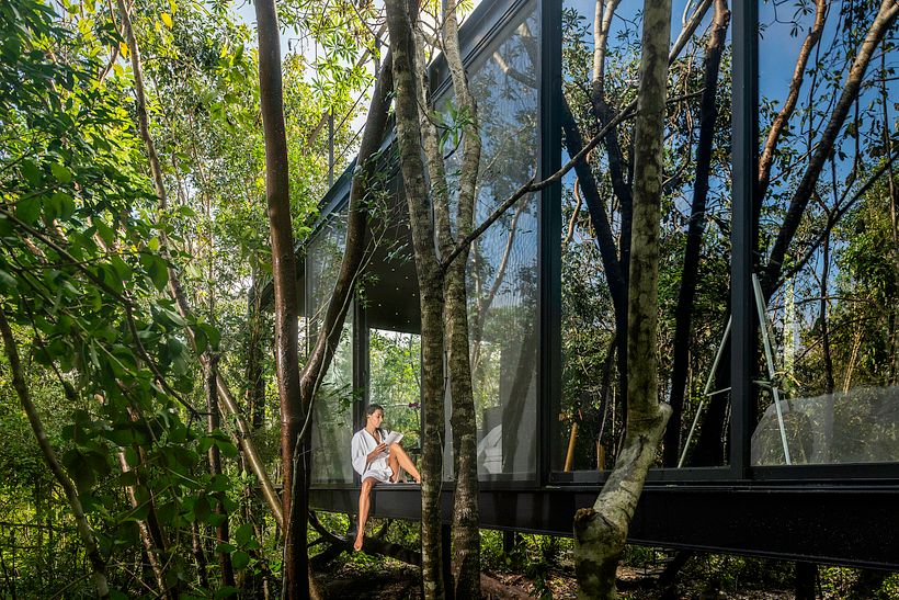 Glass House - Daniel Cota Arquitect
