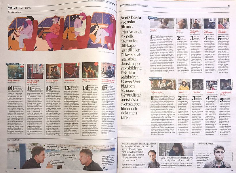 Editorial illustrations: Dagens Nyheter 5