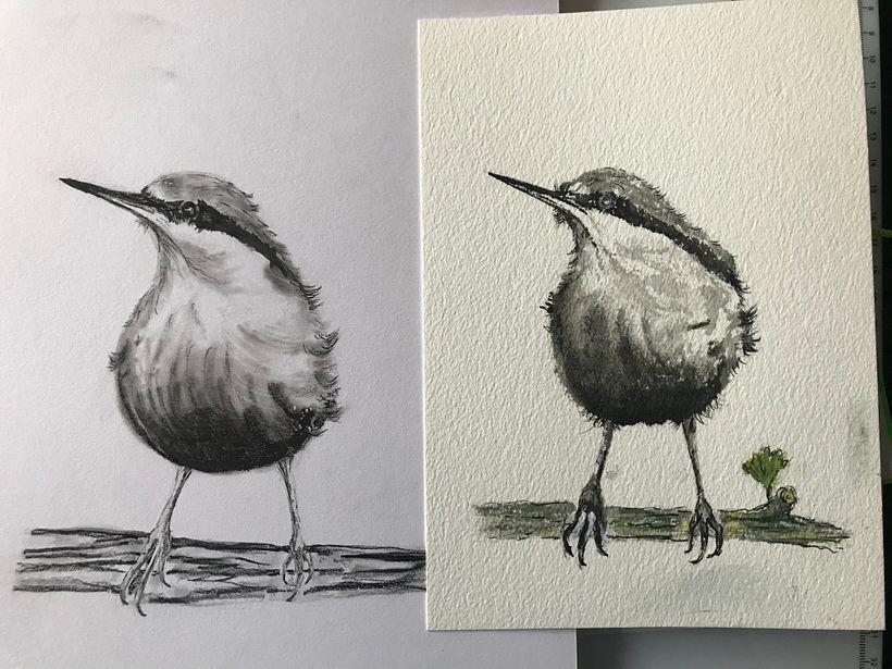 Left completed with pencil and charcoal and the right with watercolour