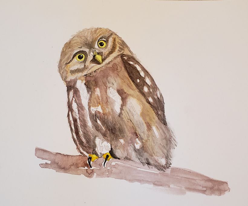 What's that?--owl