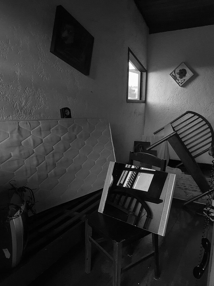 Concurso de Fotografia: Novo de Novo 1