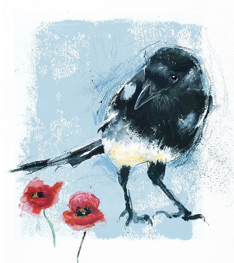 My project in Illustrating Nature: A Creative Exploration course -1