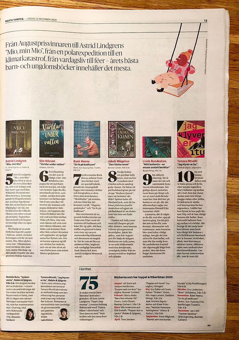 Editorial illustrations: Dagens Nyheter 13