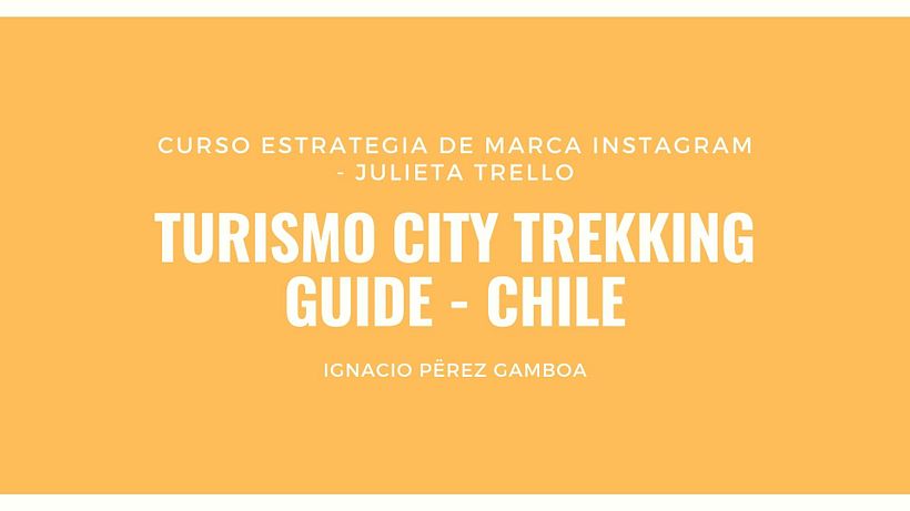 Curso Estrategia de Marca. Proyecto de curso. 0