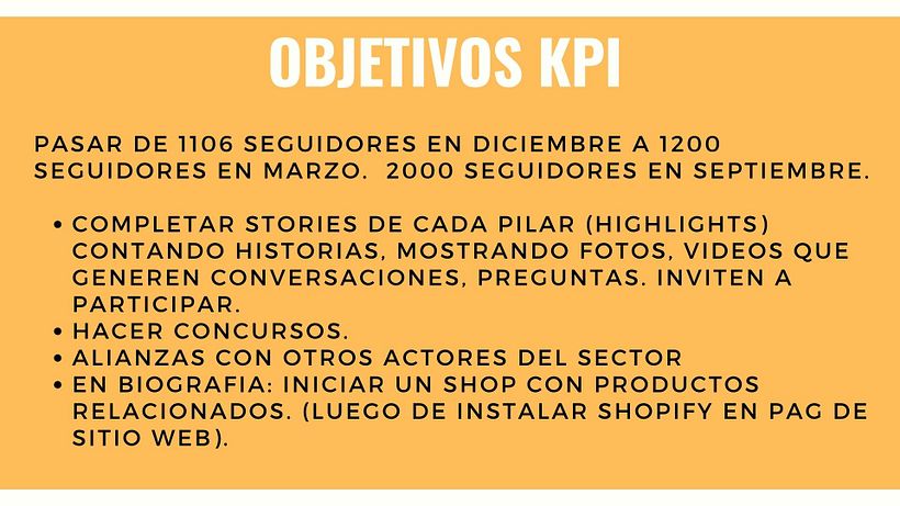 Curso Estrategia de Marca. Proyecto de curso. 12