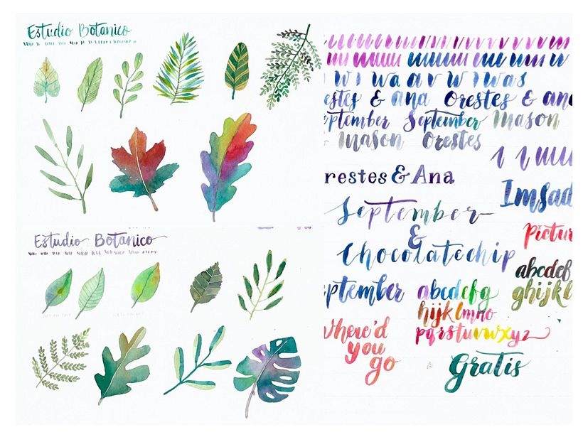 My project in Techniques applied to watercolour illustration course 2