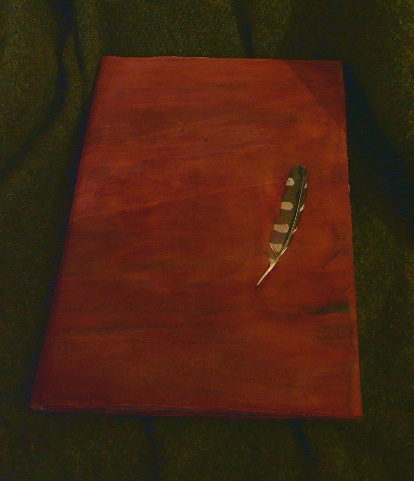 Front, the feather is from a Great Spotted Woodpecker, I found in a Park near by my home.