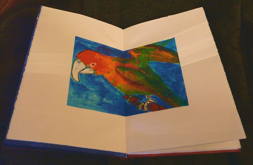 A little book of Birds 2