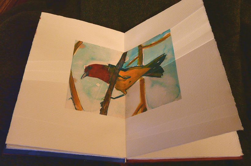 A little book of Birds 4