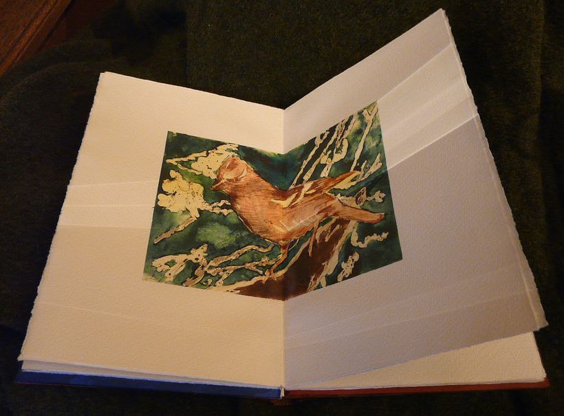 A little book of Birds 5
