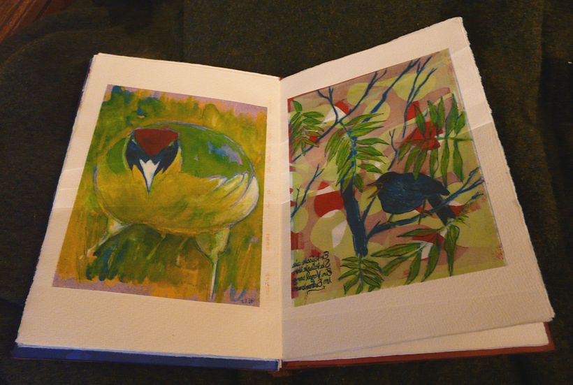 A little book of Birds 6