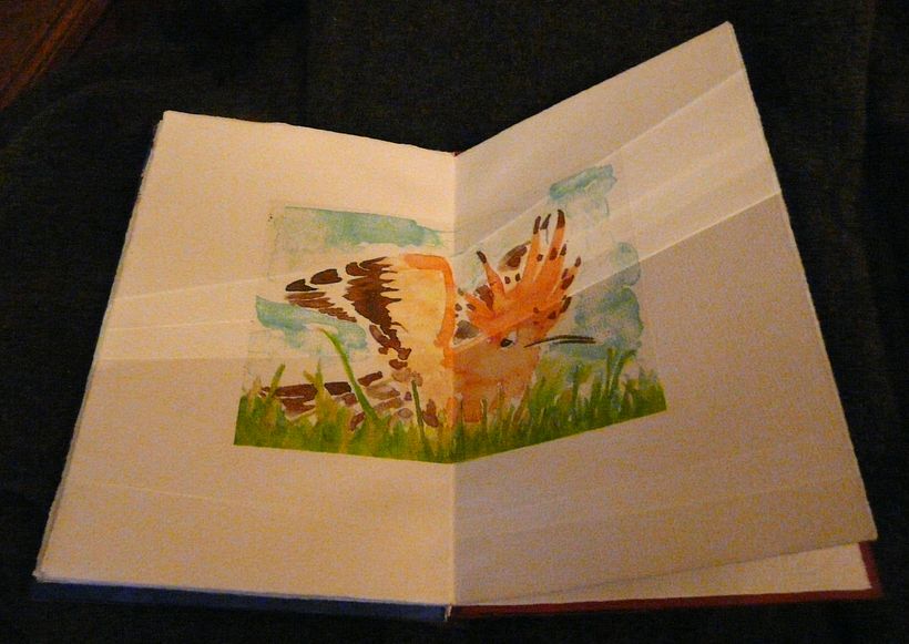 A little book of Birds 7