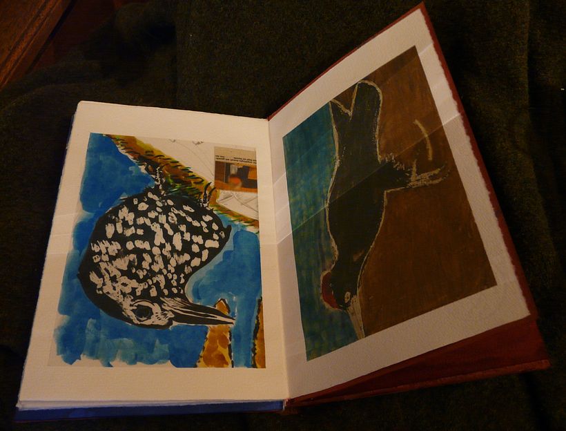 A little book of Birds 8