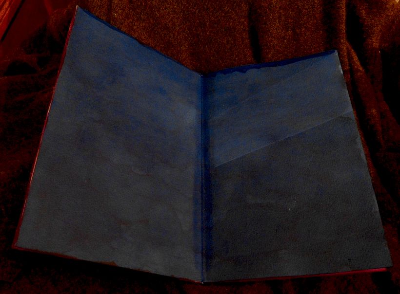 A little book of Birds 9