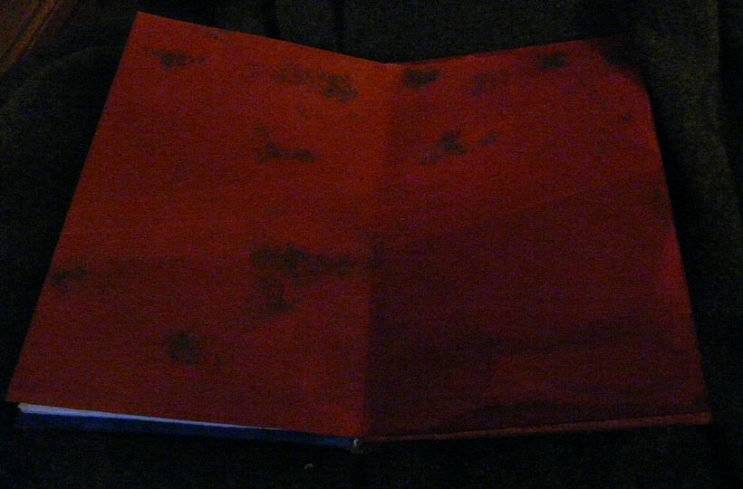 A little book of Birds 10