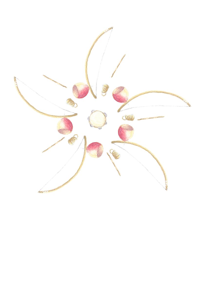 My project - A flower of berimbaus 0