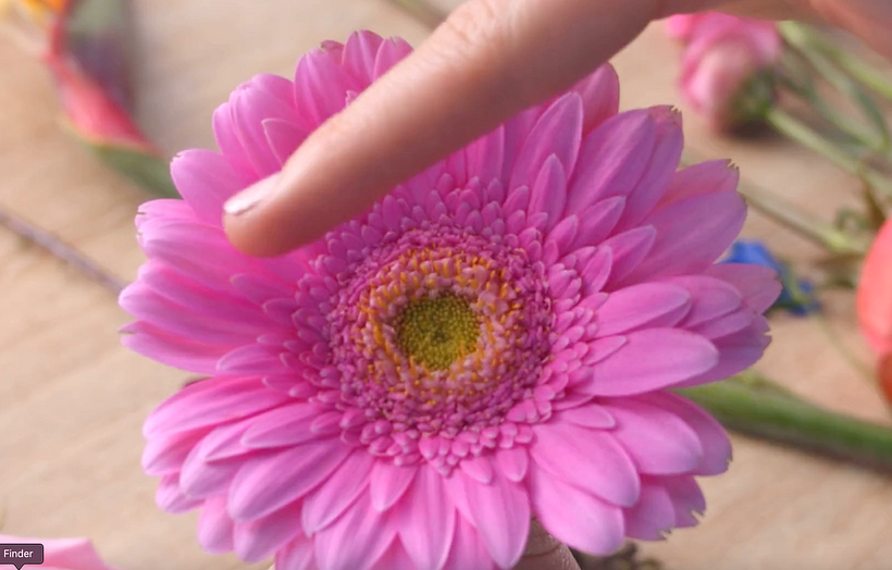 Teoría del color para diseños florales