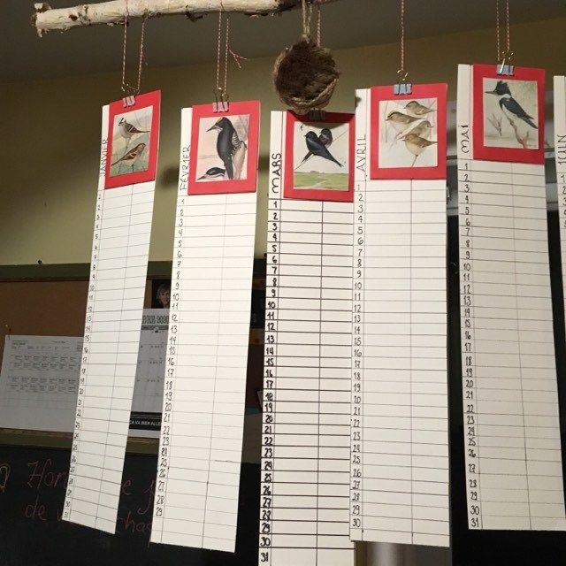 Calendrier perpétuel et annuel des oiseaux: Planification annuelle (détails)