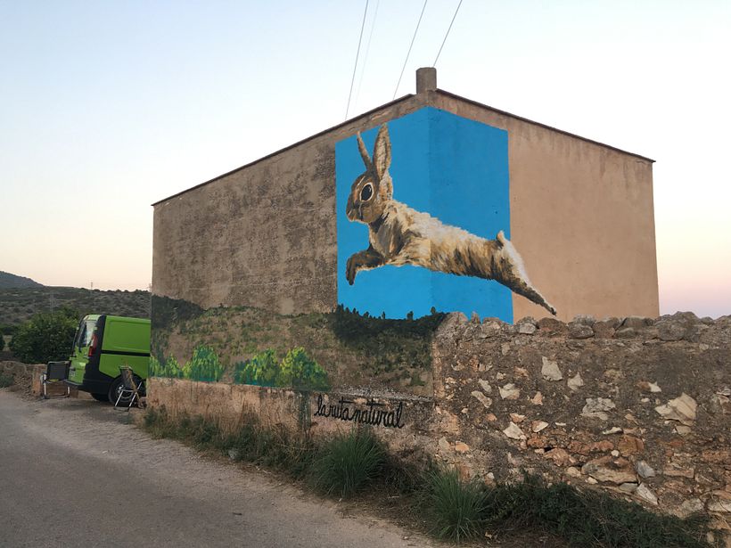 oH, it's a RABBIT! 0