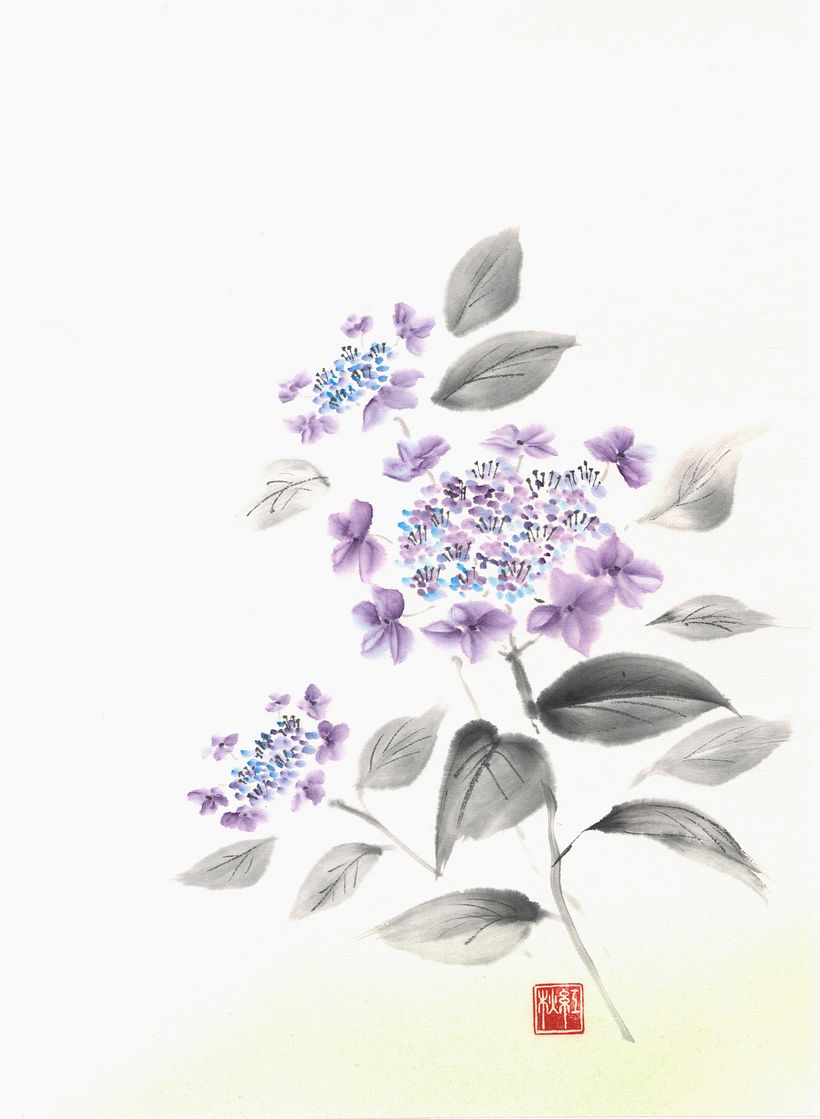 Hydrangea 