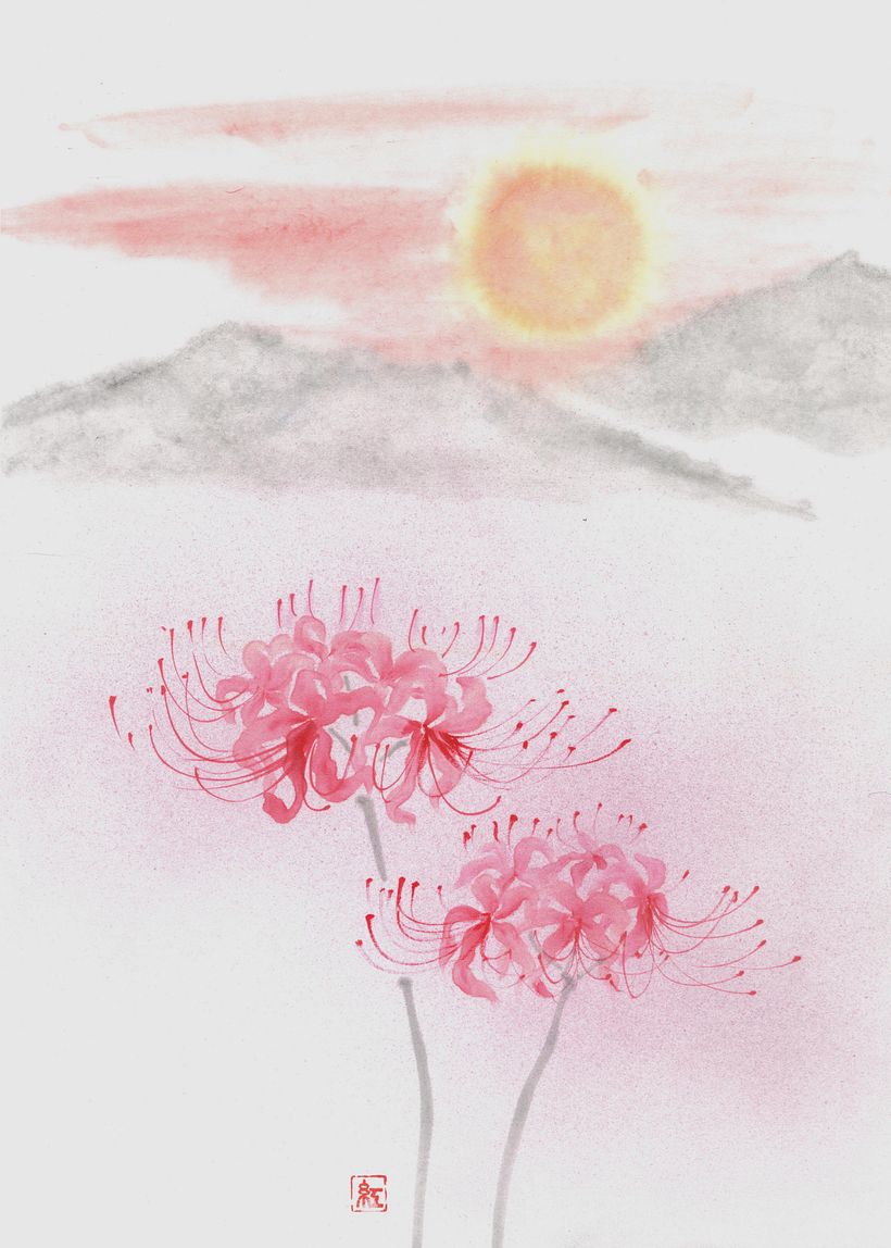 Cluster Amaryllis and sunset