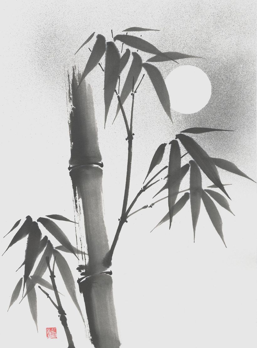 Bamboo 