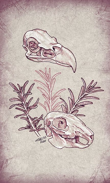 Predator and Prey -1