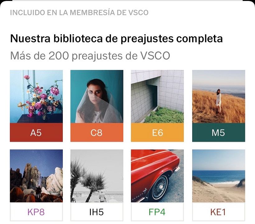 VSCO C8 - Sample image. 2