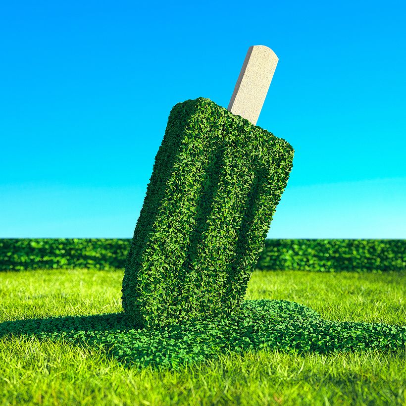 Edible Visual 1