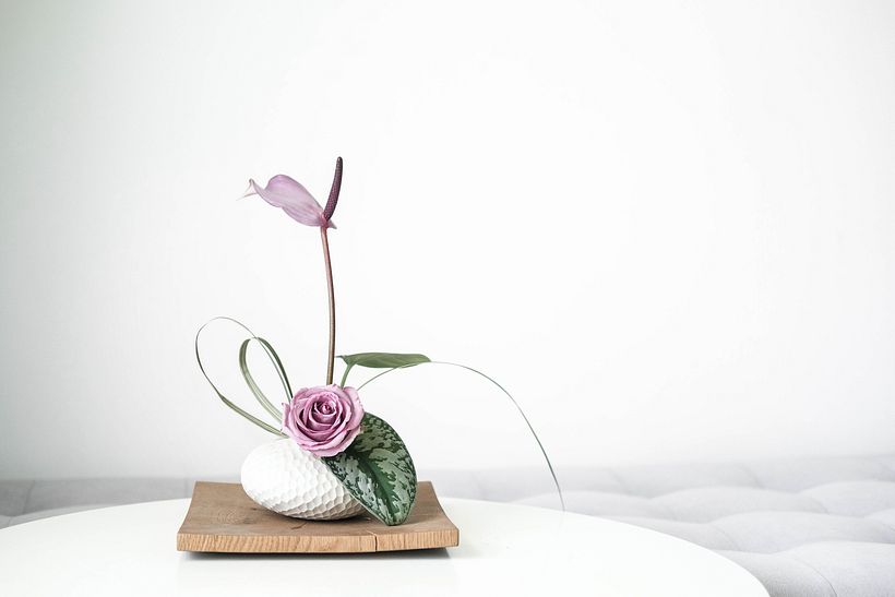Linh Le