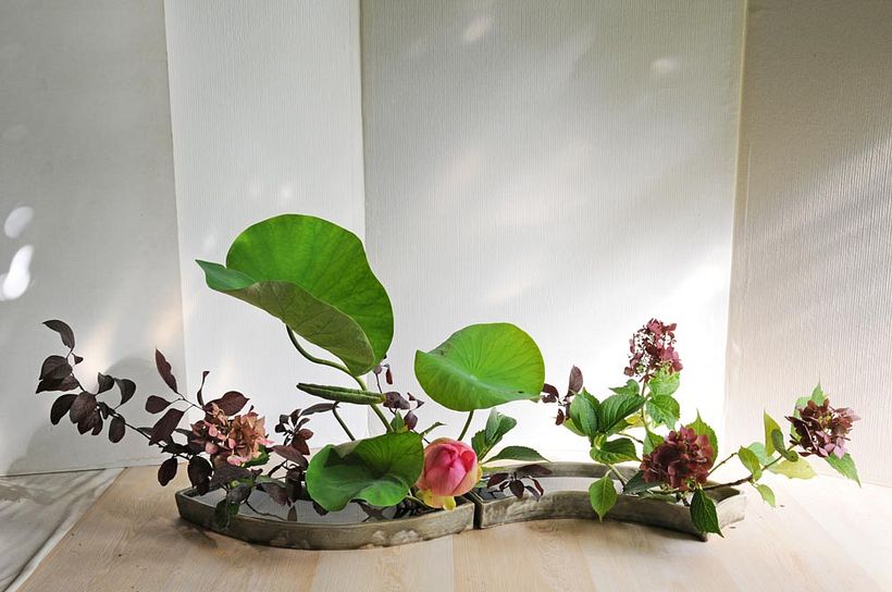 Rimpa, Ikebana Ohara school, La Rochelle