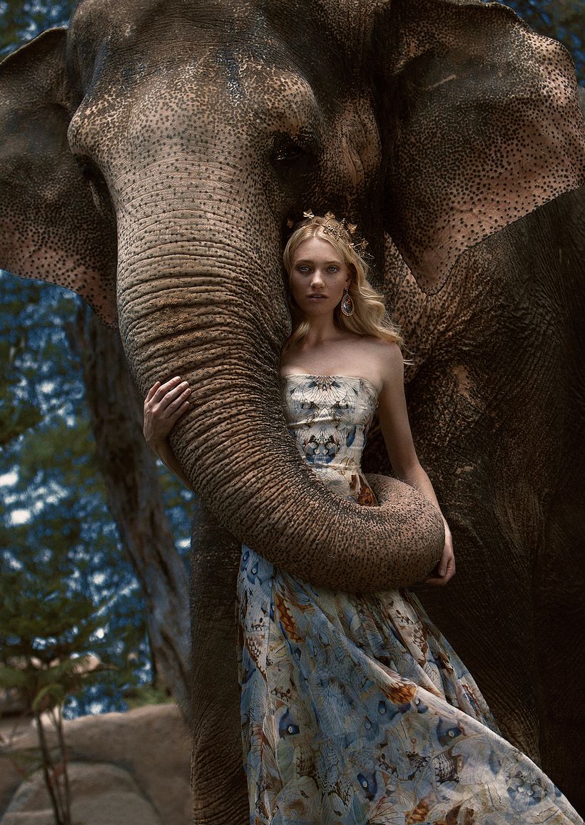 D´SCENE: Autumn For The Elephants 0