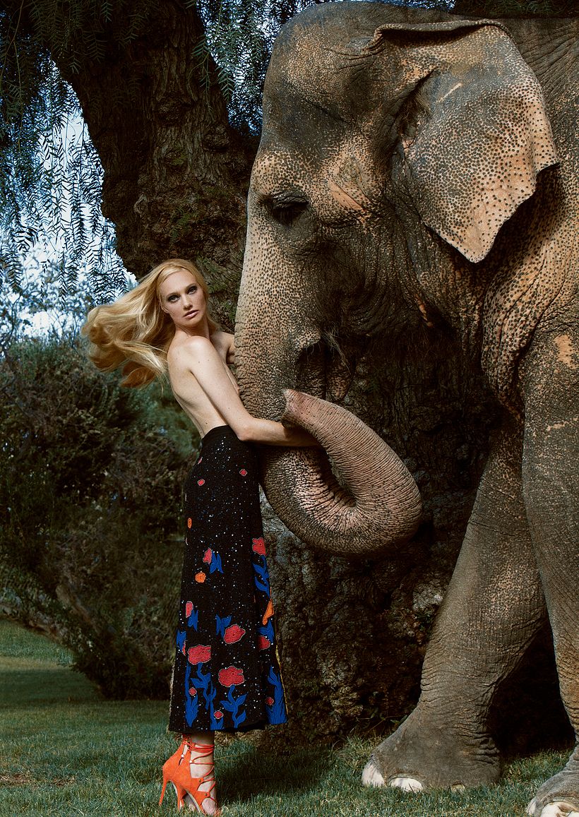 D´SCENE: Autumn For The Elephants 4