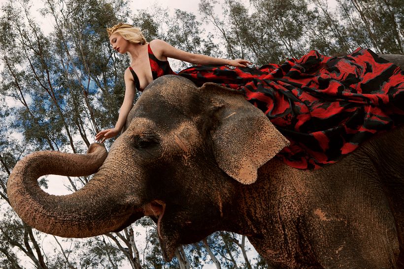 D´SCENE: Autumn For The Elephants 5