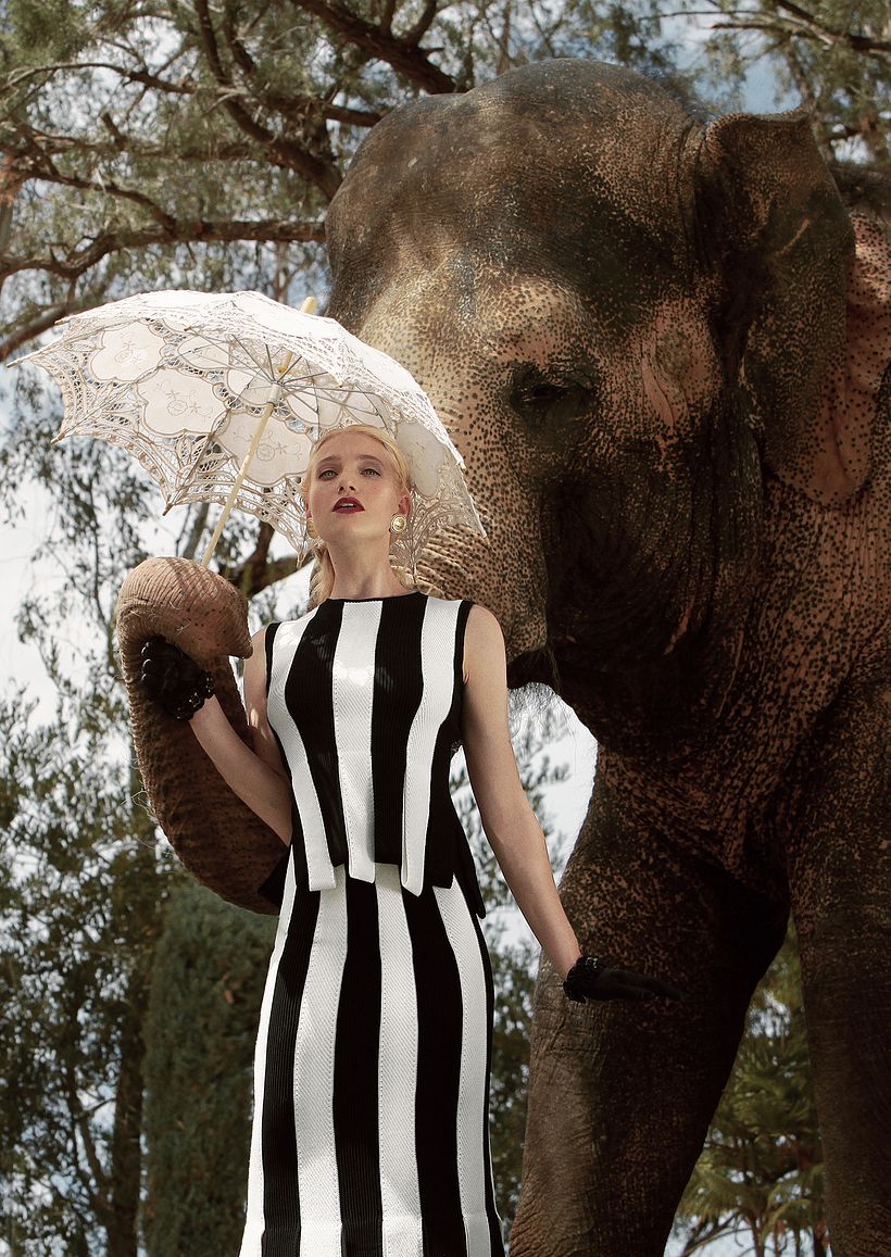D´SCENE: Autumn For The Elephants 6