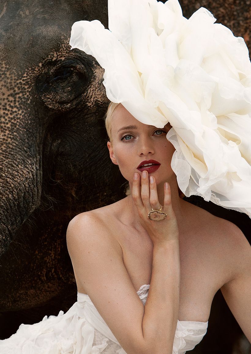 D´SCENE: Autumn For The Elephants 7
