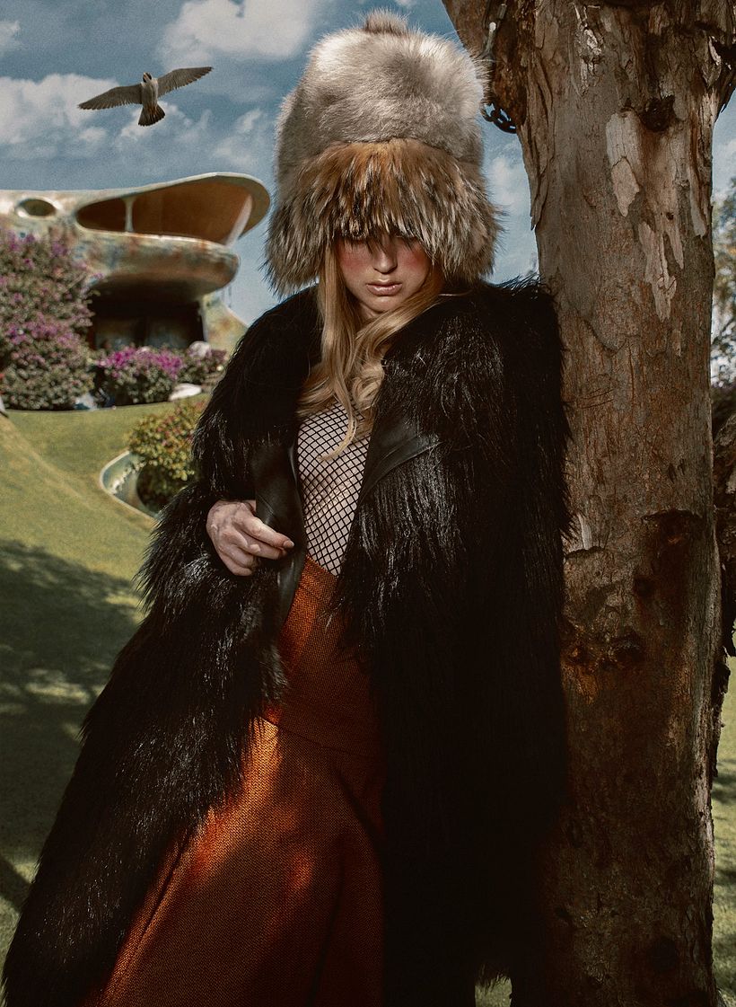 D`SCENE: Predaceous - Photography