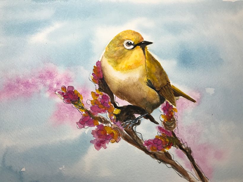 My project in Artistic Watercolor Techniques for Illustrating Birds course 0