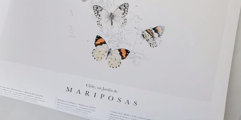 Chile, un Jardín de Mariposas 2
