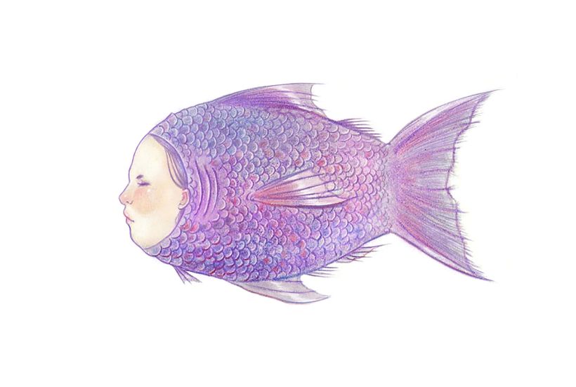 Naboko the sprite fish