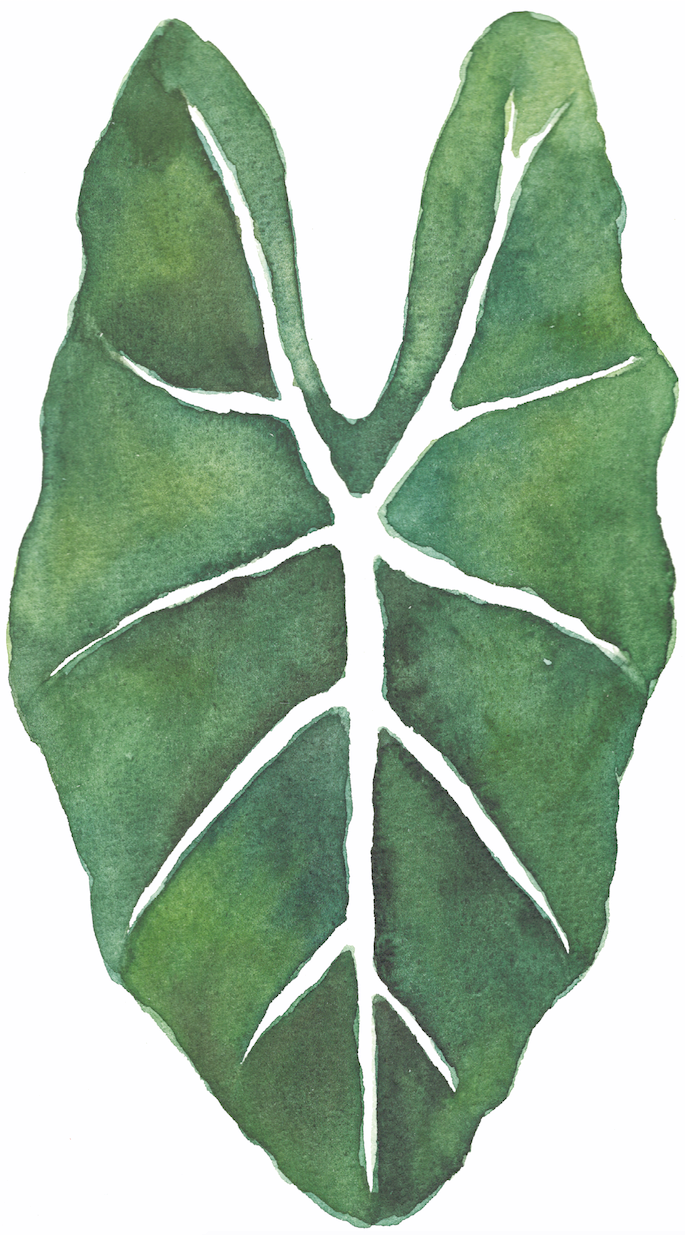 Mi Proyecto del curso: Acuarela botánica para estampados 0