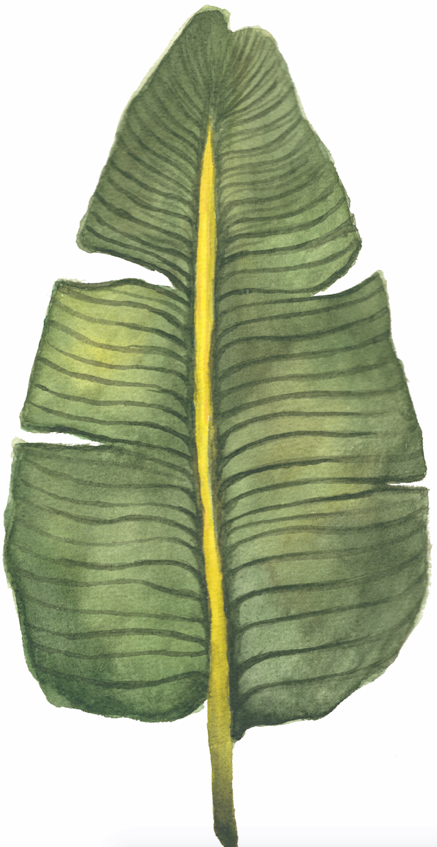 Mi Proyecto del curso: Acuarela botánica para estampados 1