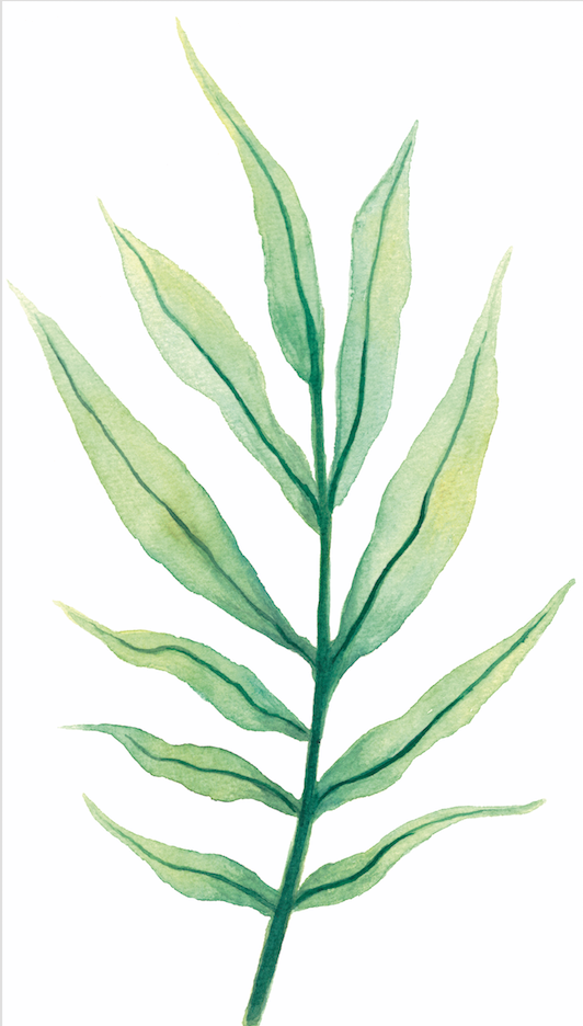 Mi Proyecto del curso: Acuarela botánica para estampados 2